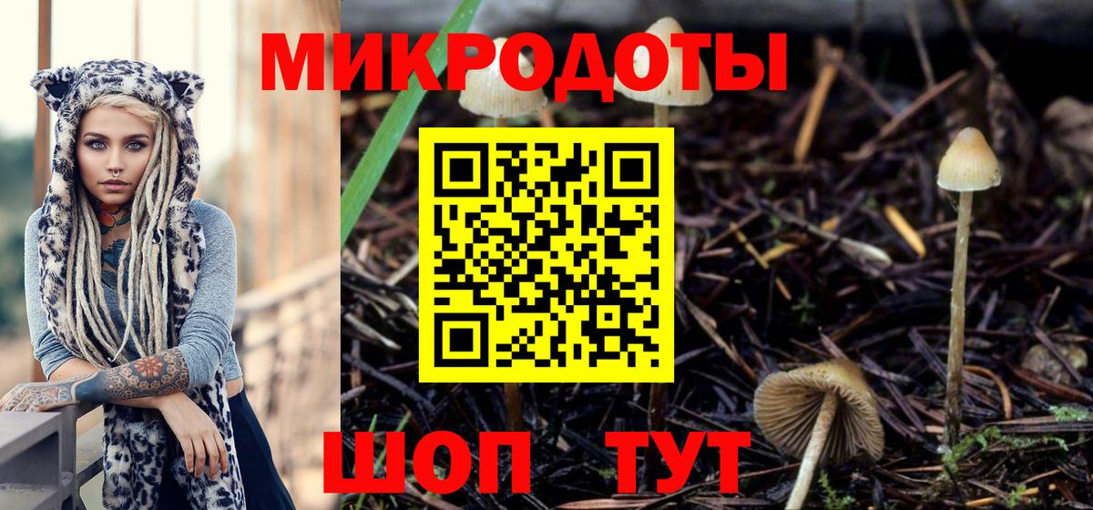 Псилоцибиновые грибы мухоморы Каменск-Шахтинский