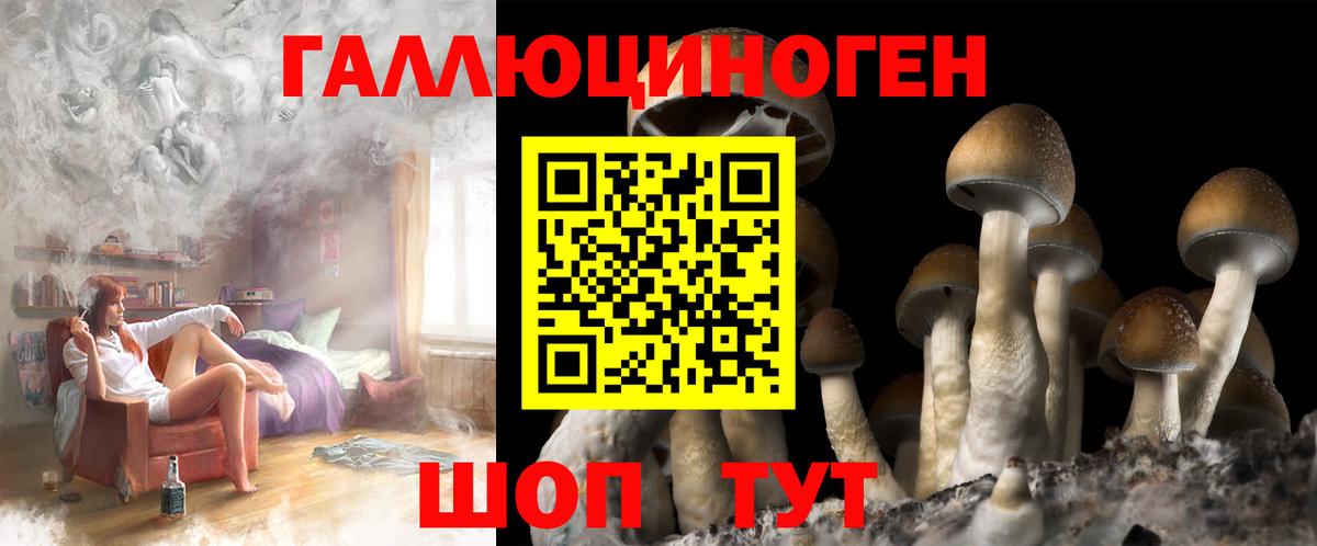 Мефедрон Каменск-Шахтинский
